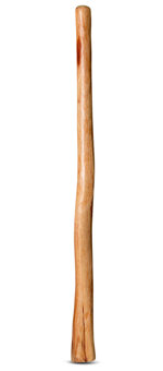 Medium Size Natural Finish Didgeridoo (TW601)